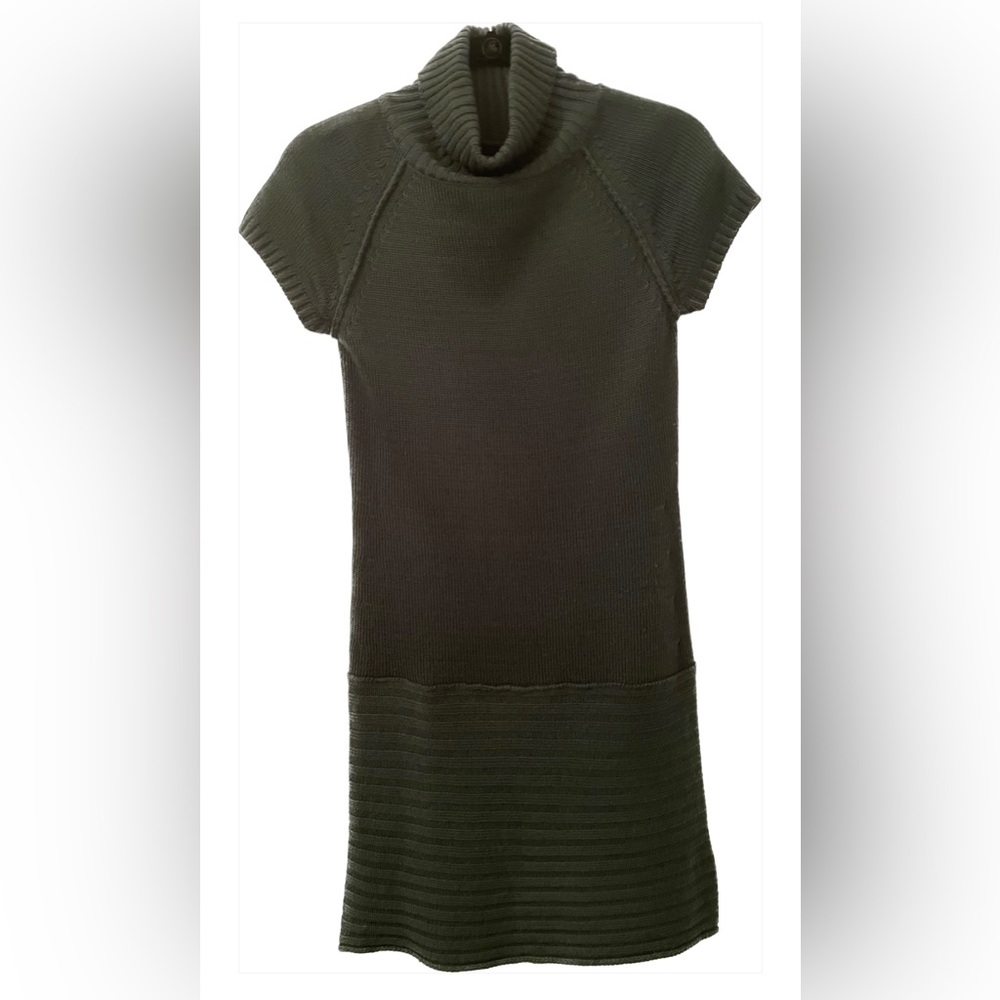COZY SWEATER DRESS (Size Small)